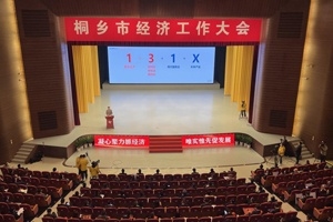 【菊乡快评】经济工作大会上，桐乡市委书记为何重点讲优德88的电子布？
